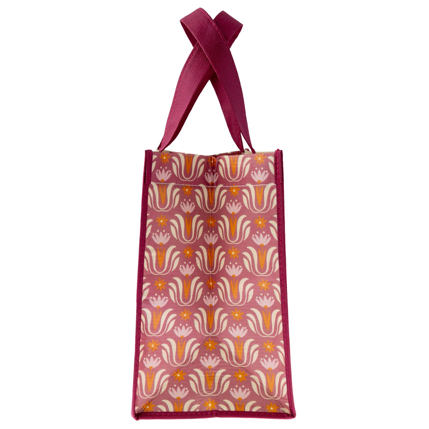 Cat Recycled Medium Gift Bag
