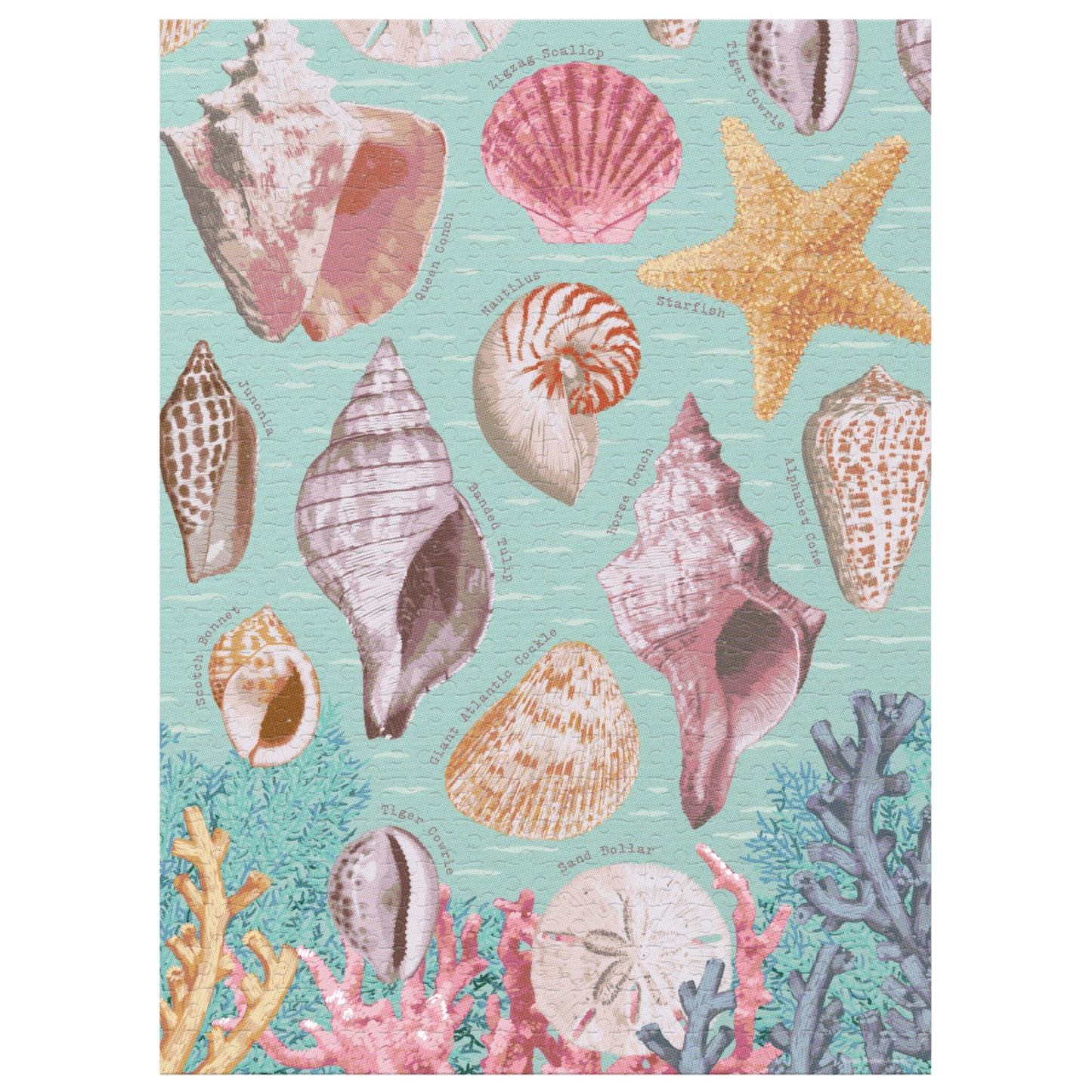 Seaside Treasures Puzzle
