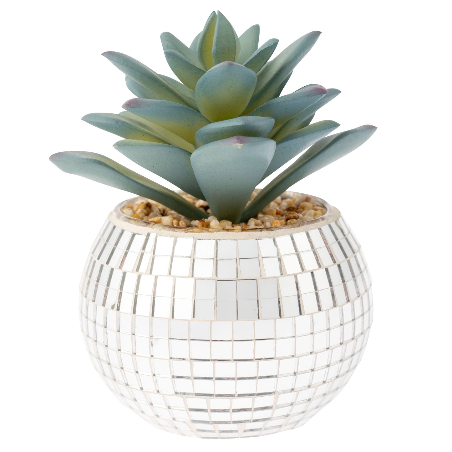 Small Disco Succulent Pot