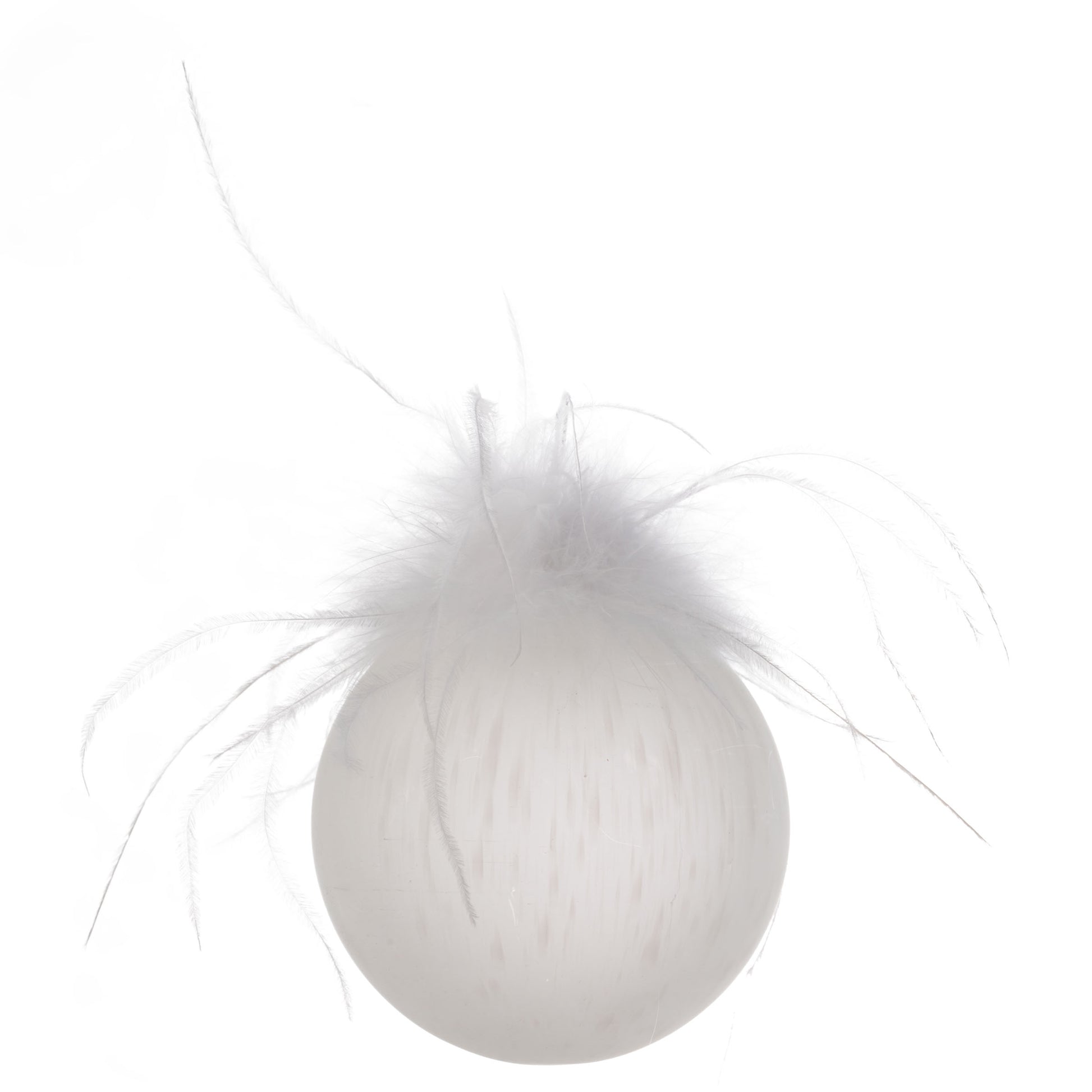 Speckled Feather Top Glass Frosted Ornament