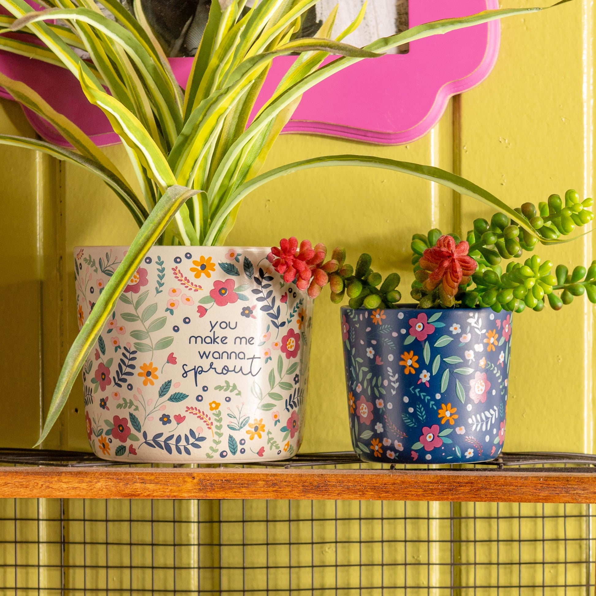 Sprout Ceramic Planters on a shelf. 