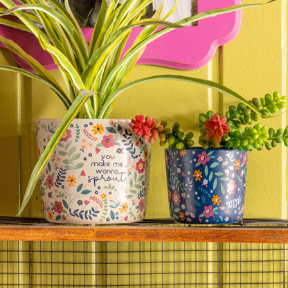 Sprout Ceramic Planters on a shelf. 