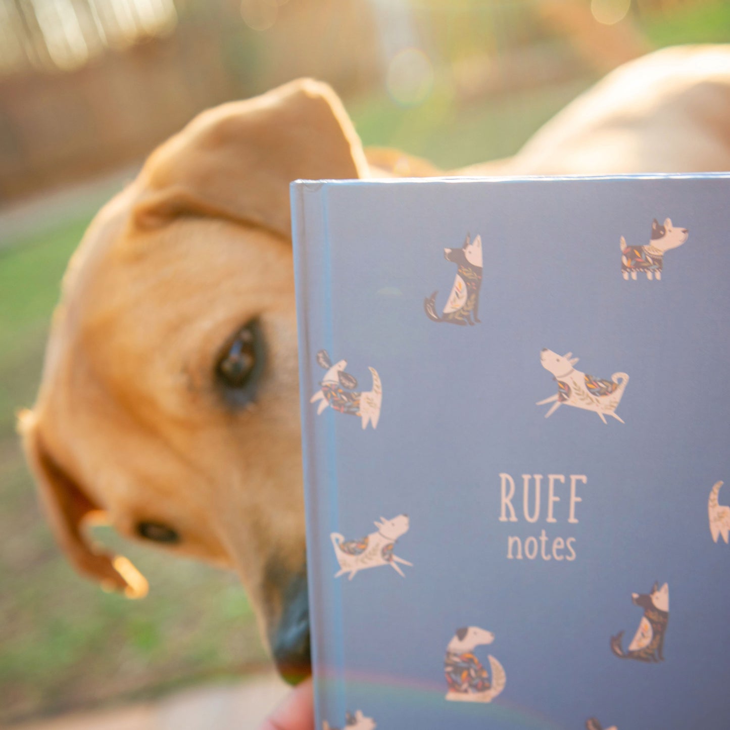 Heart Notebooks