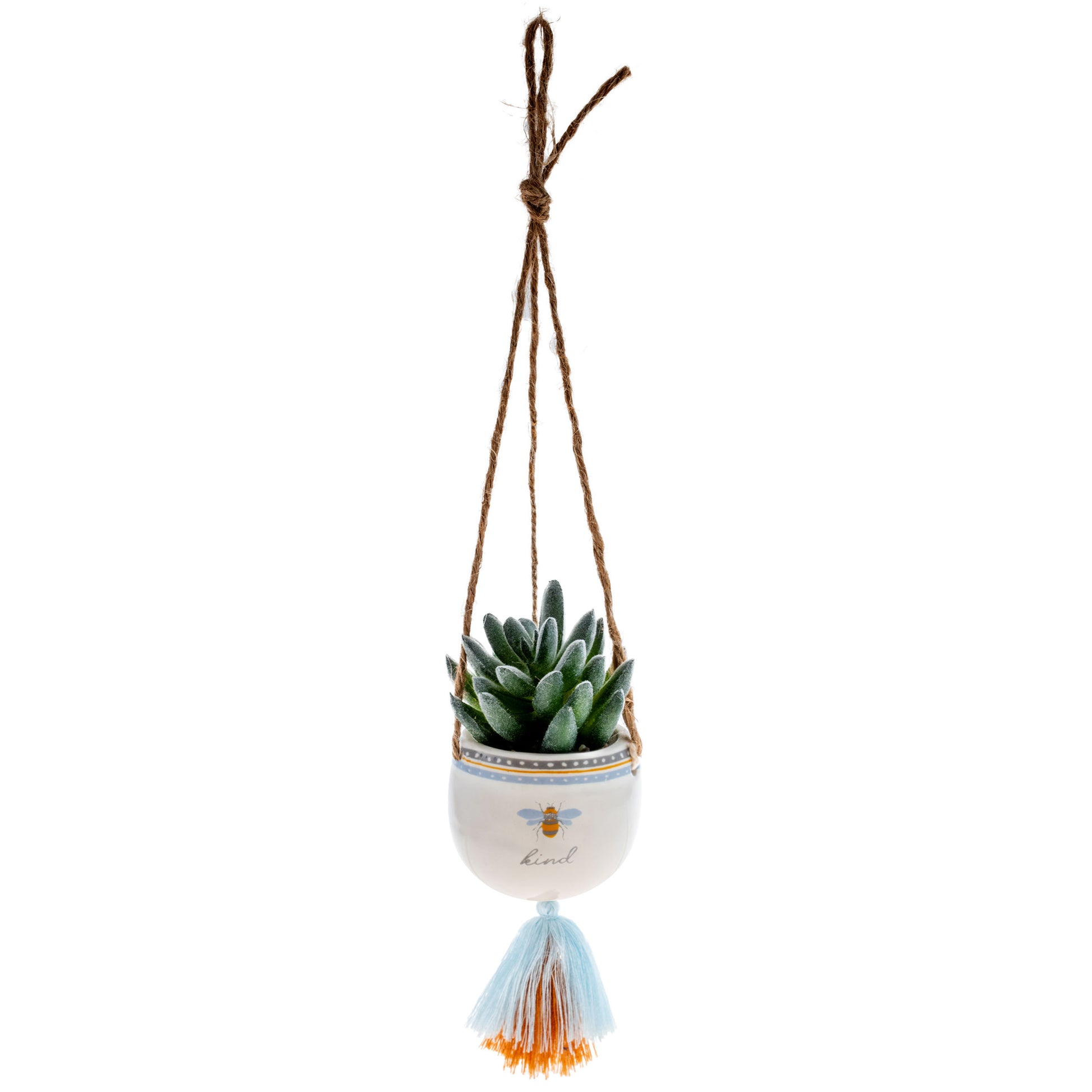 Bee Kind Hanging Succulent Pot hanging view. 
