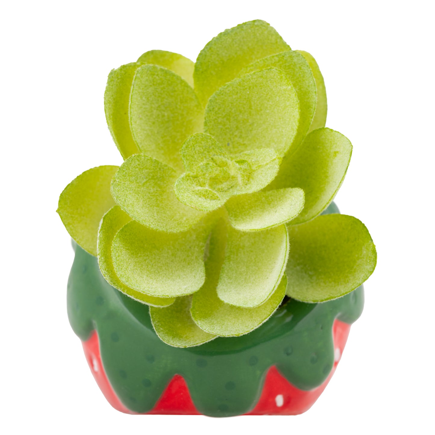 Strawberry Shaped Succulent Pot