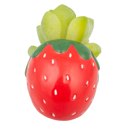 Strawberry Shaped Succulent Pot