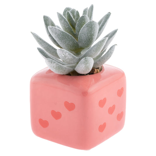 Heart Dice Shaped Succulent Pot