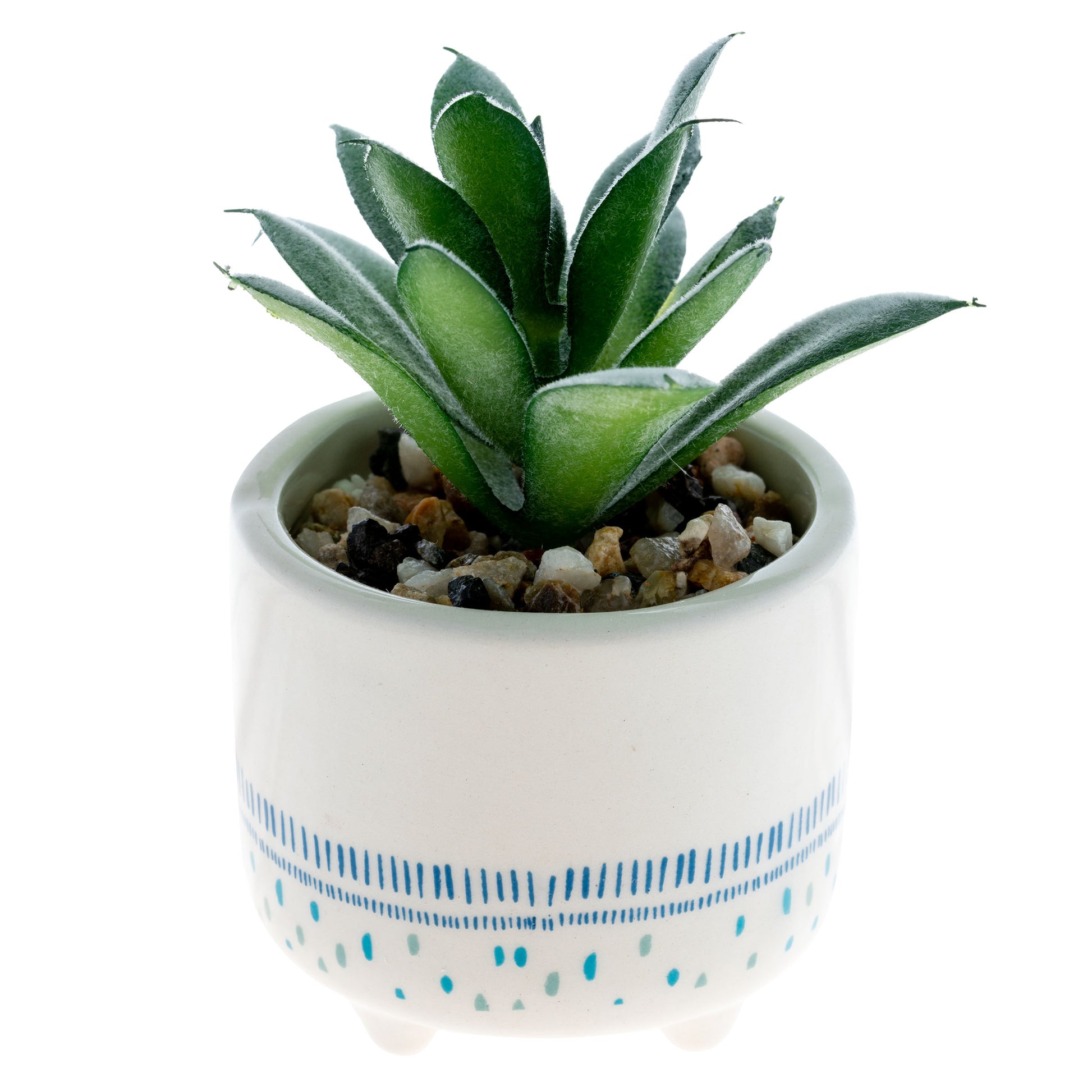 Dog Shaped Succulent Pot back view. 