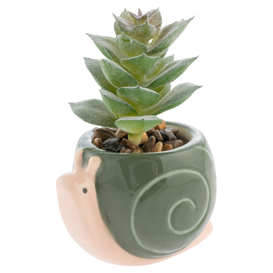 Snail Shaped Succulent Pot