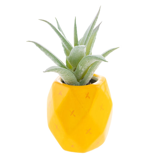 Pineapple Shaped Succulent Pot