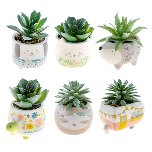 Shaped Succulent Pot Assortment.