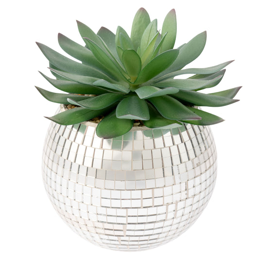Large Disco Succulent Pot