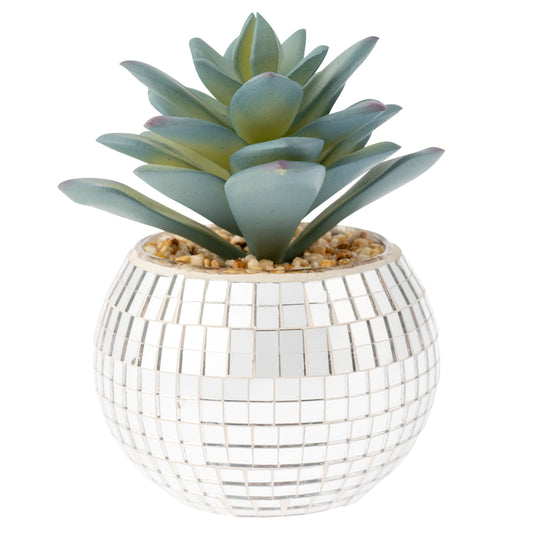 Small Disco Succulent Pot